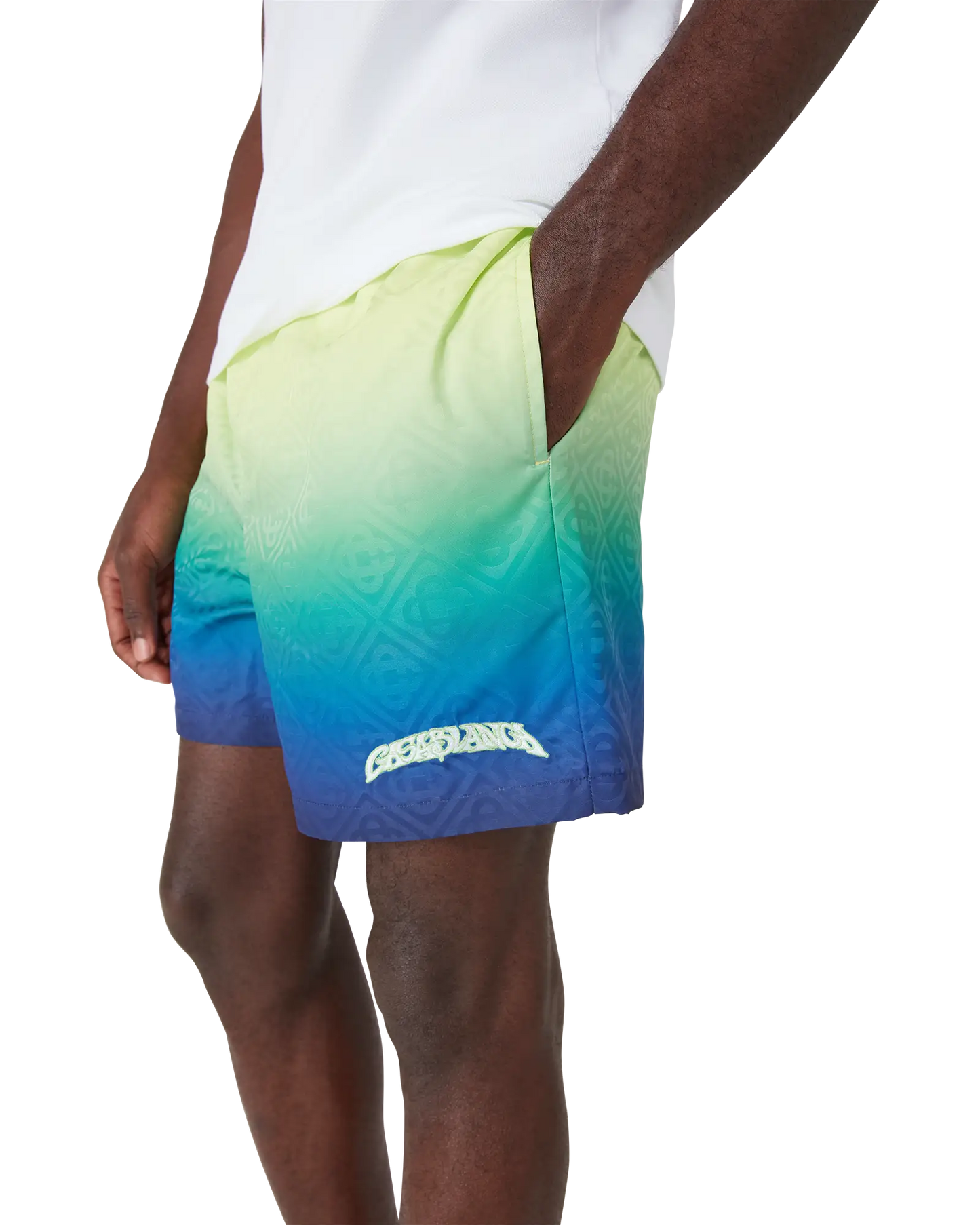 Gradient Swim Shorts
