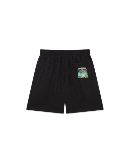 Volcano Jacquard Silk Shorts