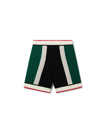 Striped Mesh Shorts