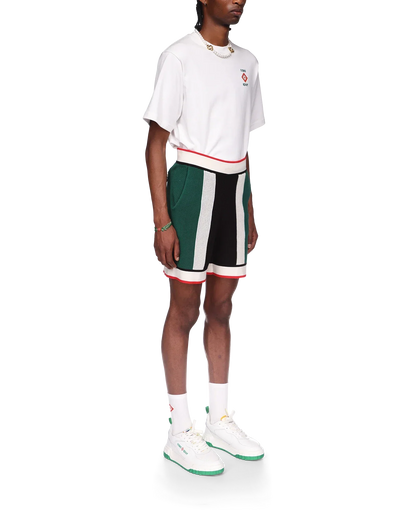 Striped Mesh Shorts