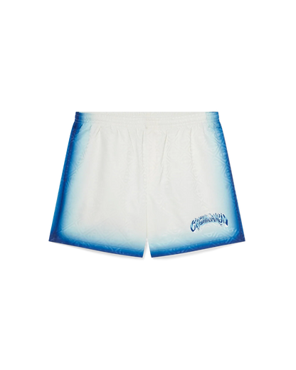 Blue Fade Swim Shorts
